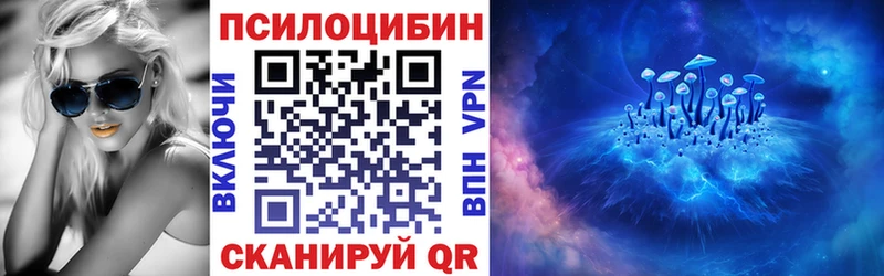 kraken зеркало Талица Галлюциногенные грибы MAGIC MUSHROOMS